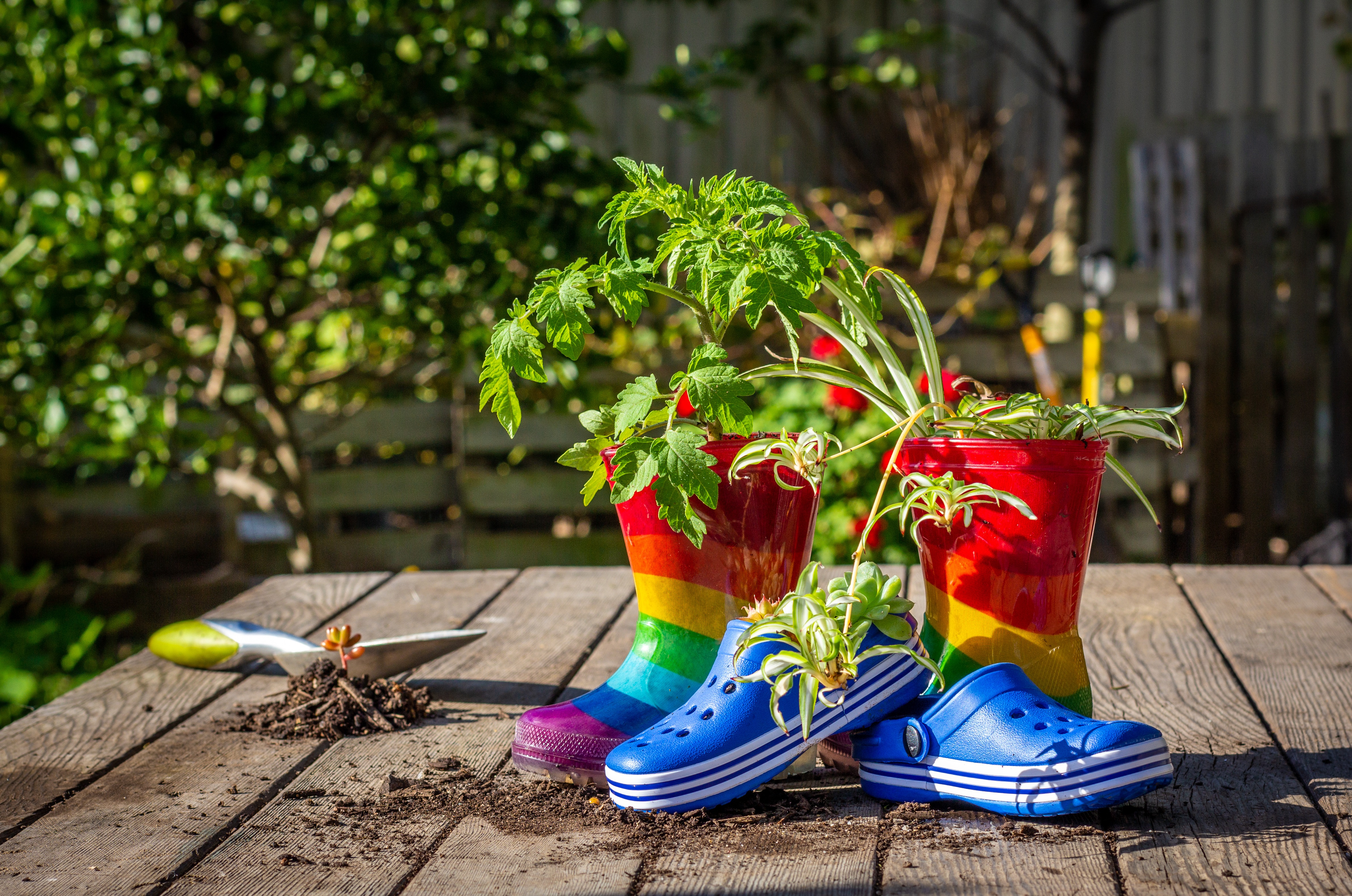 Recycled children's boots and shoes on garden bench used as plant pots, a fun way to encourage recycle reuse and reduce waste.